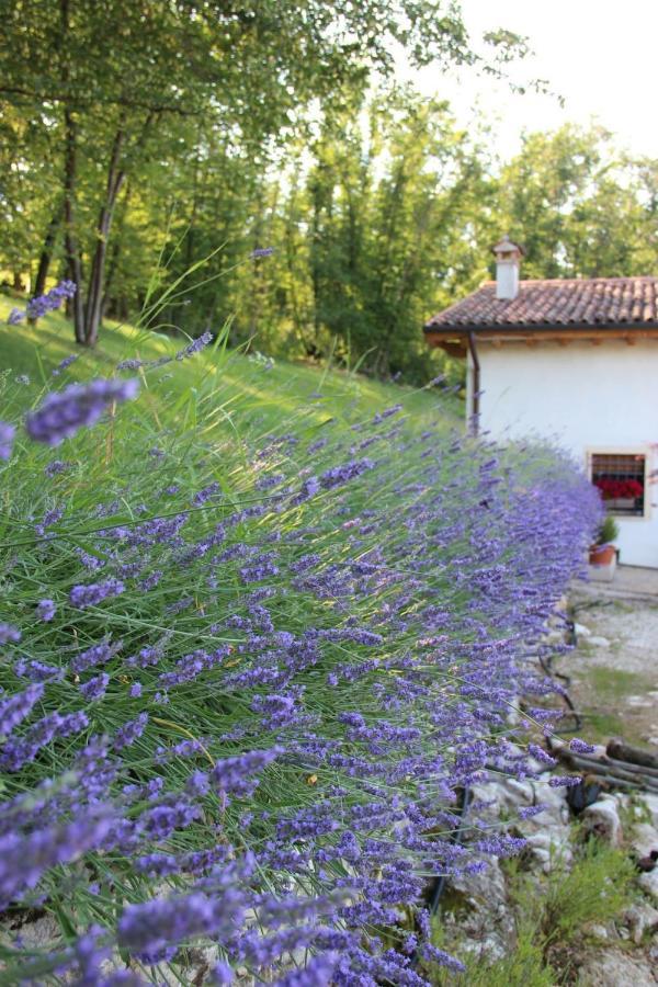 B&B Bosco Antico Monteviale Kültér fotó